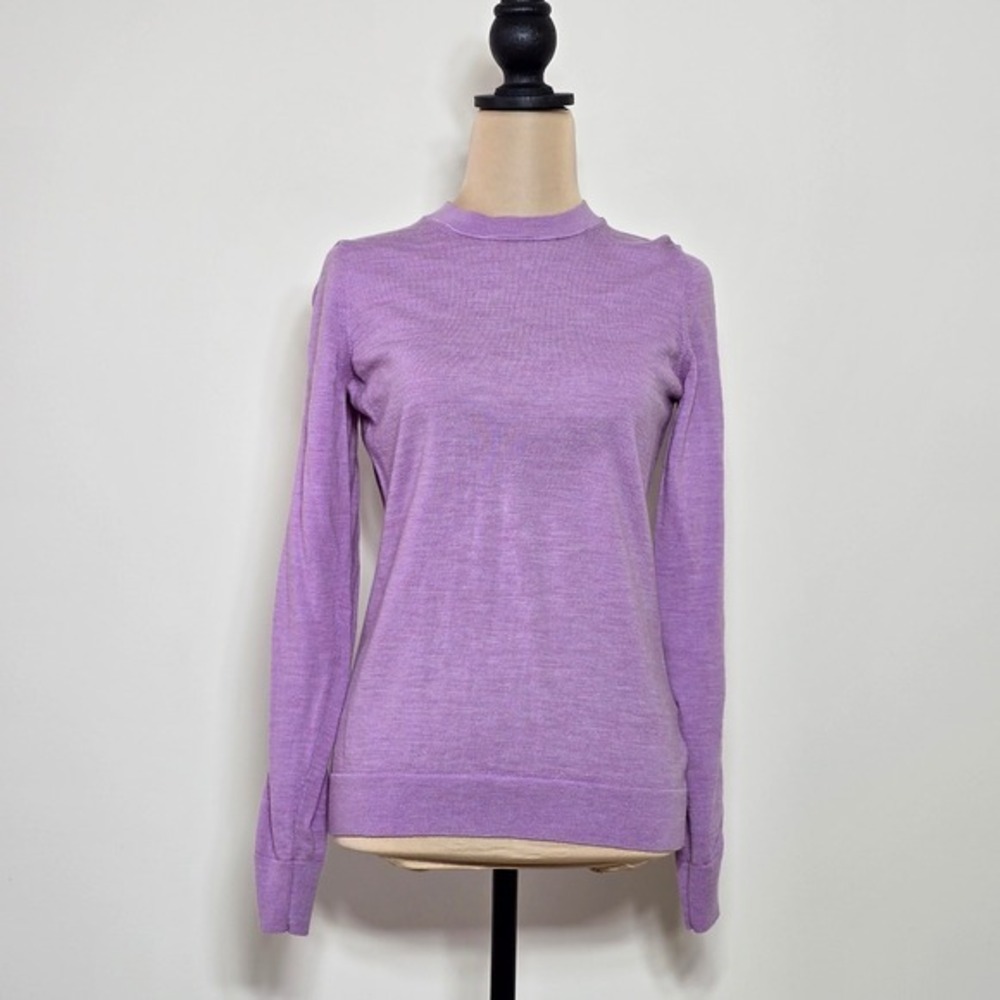 Banana Republic Purple‎ Crew Neck Sweater Merino Wool Size M Arm Cutouts
